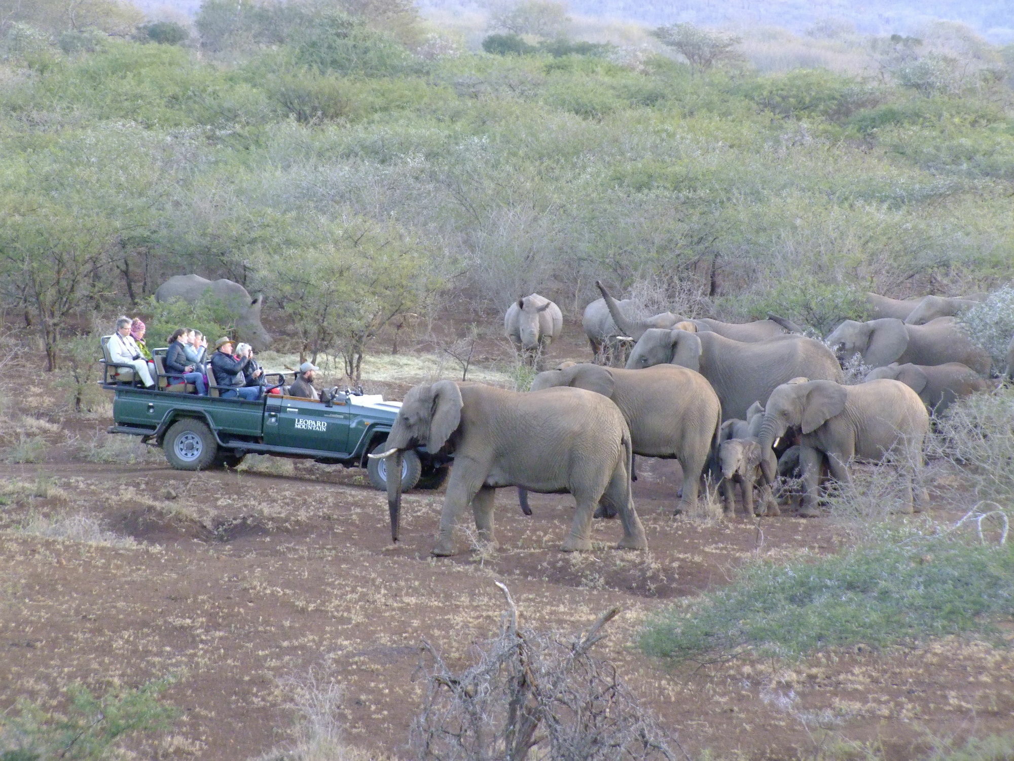 Leopard Mountain Safari Lodge Manyoni Private Game Reserve Экстерьер фото